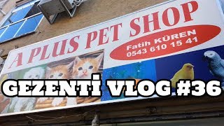 Gezenti Vlog A Plus Petshop Samsun 23.06.2017