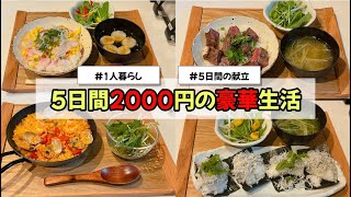 【5日間2000円で超豪華にしてみた！】〜一人暮らしご飯〜 ちらし寿司/カルパッチョ/パエリア/ステーキ丼/しらすおにぎり