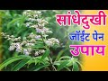     joint pain solution  tips in marathi