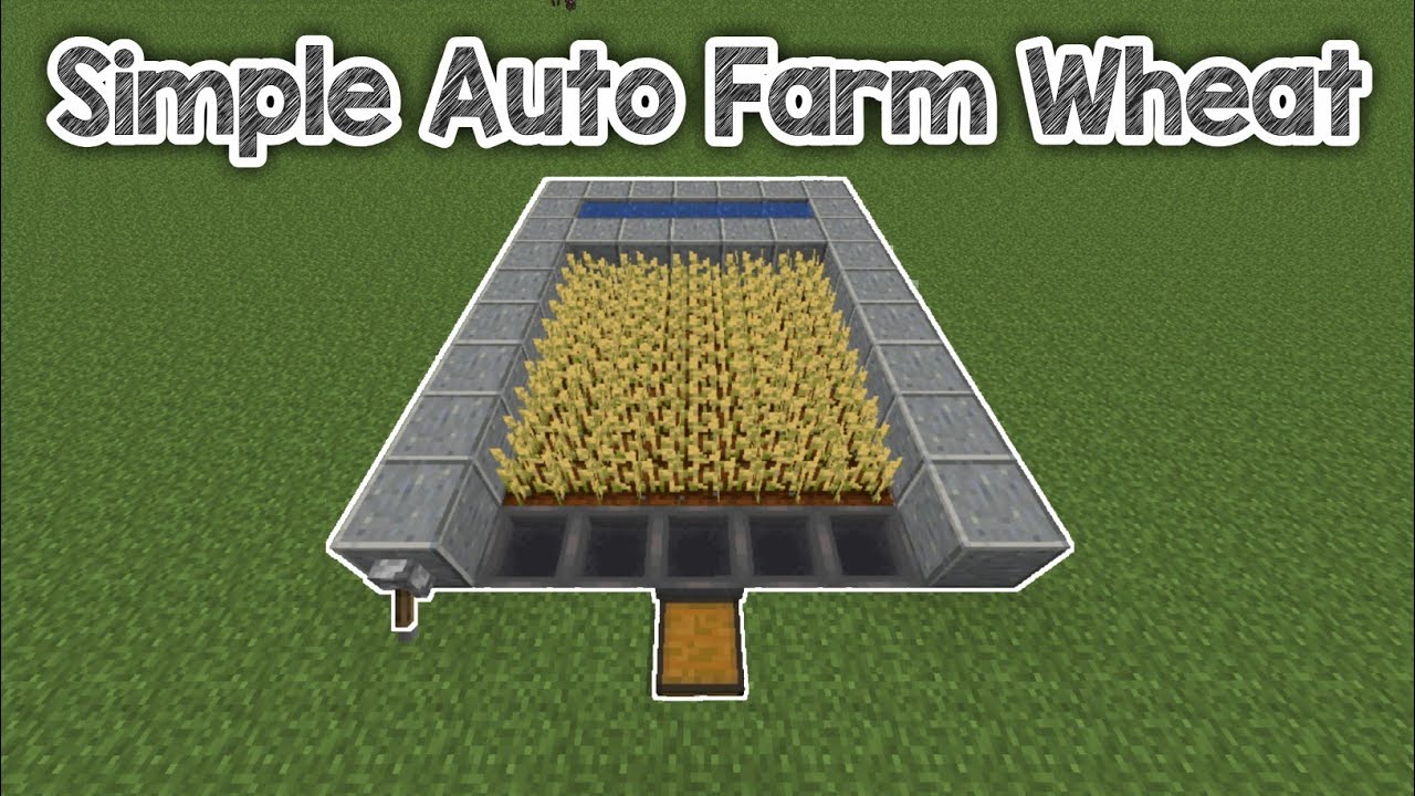 Cara Membuat Simple Auto Farm Wheat - Minecraft Java Edition Indonesia ...