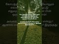 அவசரப்படுதல்#hurryup #hurry #hurry_up #hurry#shortsfeed #youtubeshorts #viralfeed #trendingshorts