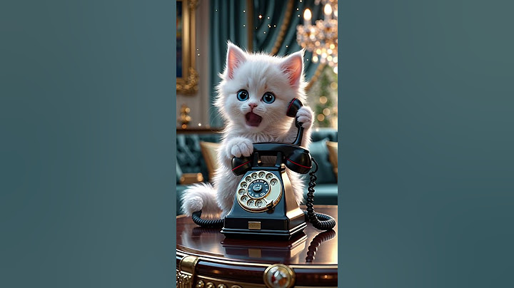 This Kitten's Call Will Make You Laugh!