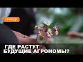 Агроклассы помогают с будущей профессией