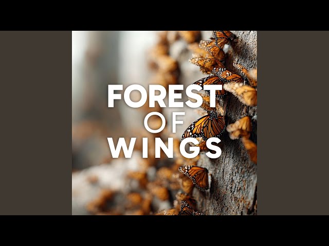 Wings Unfold