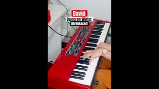 David — Cameron Winter Tutorial soon