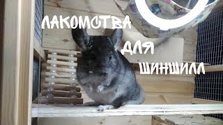 ЛАКОМСТВА ДЛЯ ШИНШИЛЛ /Вкусняшки для шиншиллы