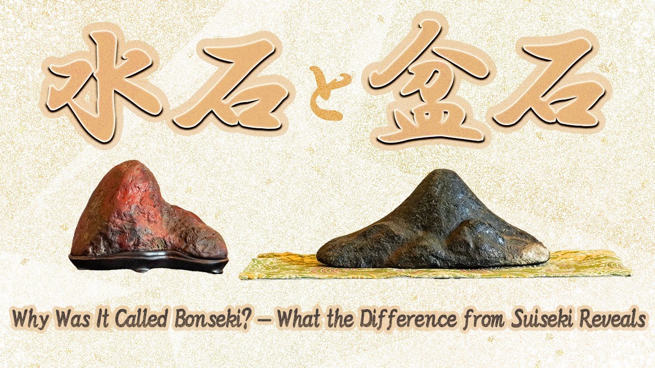 その石は、なぜ“盆石”と呼ばれたのか～盆石と水石の違いを紐解く～