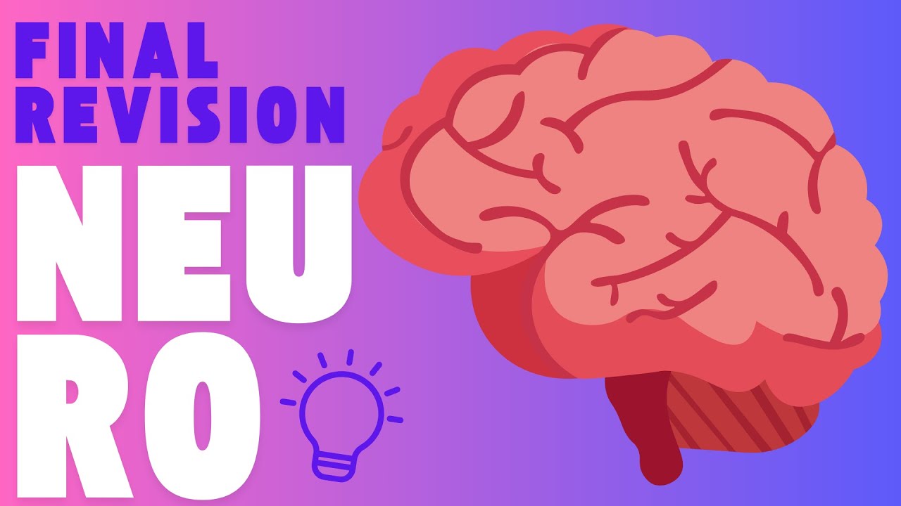 Neuroanatomy revision part: 1 - YouTube