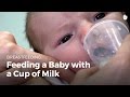 Feeding a baby with a cup of milk Breastfeeding