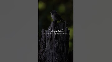 لحظة خشوع مع أجمل تلاوة 🕋💖 | سورة [الروم]"    #قرآن_كريم #خشوع #إيمان