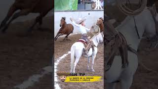 Fedetips Las Manganas A Caballo