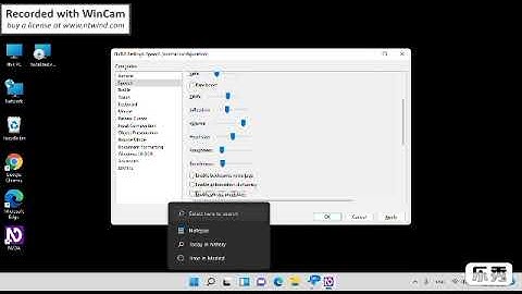 most important setting speech synthesizer NVDA screen reader step by step new  blind users ?????