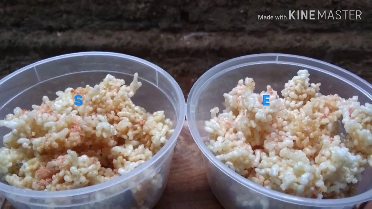 Cara membuat pop rice - YouTube