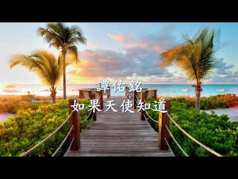 譚佑銘 - 如果天使知道.mp4