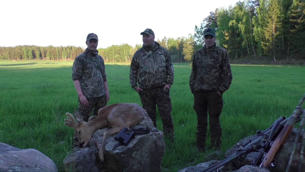 metsäkauriin metsästys metsäkauriin metsästys