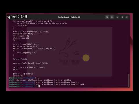 [C lang]  read and execute shellcode from a File