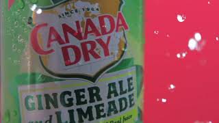 Ginger Ale commercial : product videography screenshot 5