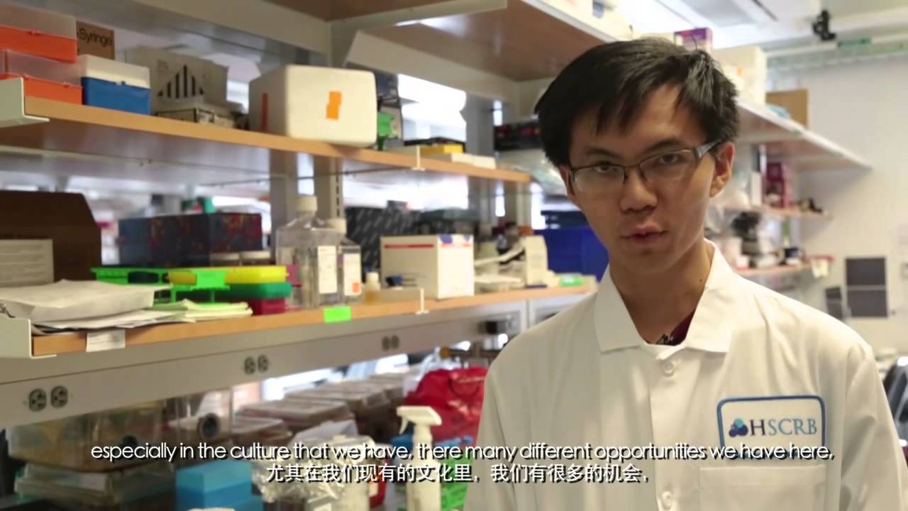 Harvard University Student: Frankie Wang - YouTube