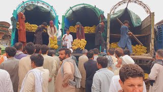 Banana International Market Islamabad | Fruit Mandi Islamabad | Sindh banana Market |