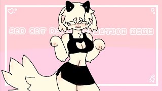 💕SAD CAT DANCE💕 animation meme +15