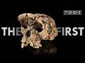 New Evidence Suggests the First Hominin Walked on Two Legs
