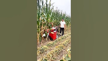 Hand-Push Corn Harvester: Compact and efficient for easy corn harvesting!