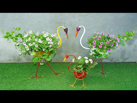Video: Decorating The Garden: Ampelous Plants