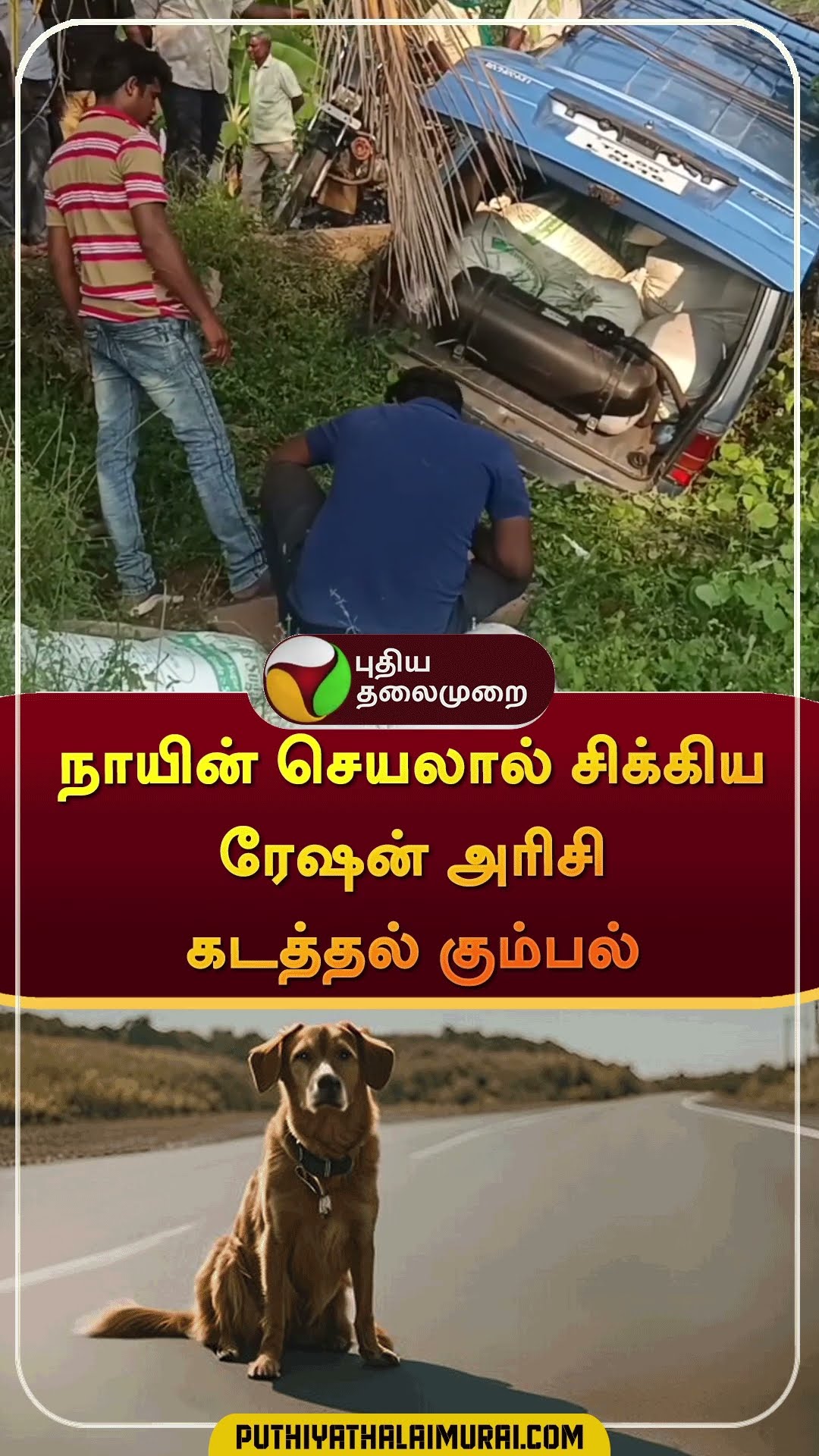 நாயின் செயலால் சிக்கிய ரேஷன் அரிசி கடத்தல் கும்பல் | #shorts | #salem | #accident