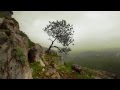 Venja - Zen  **chillout - mindfullness - relax - ambient - earth**