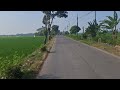 Walking Through a Cool and Peaceful Road 🌿