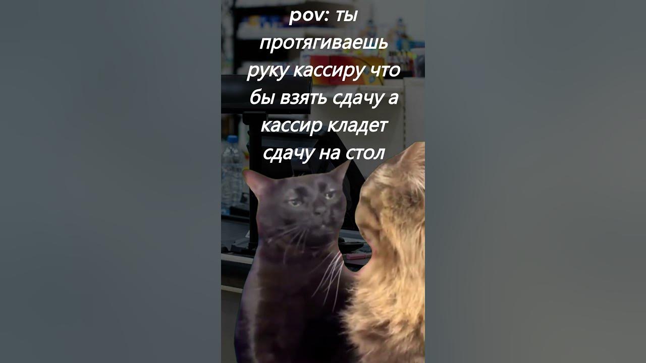 Черный кот мем смотрит с пустым взглядом Кот смотрит с потухшим взглядом Откуда МЕМ Black Cat zoning out meme YouTub