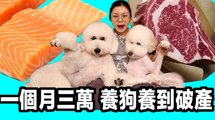 养狗一个月开销3万! 年轻人要存钱千万别养狗! #越养越穷 - 天天要闻
