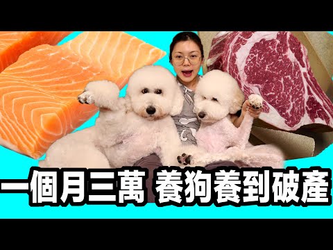 養狗一個月開銷3萬! 年輕人要存錢千萬別養狗! #越養越窮