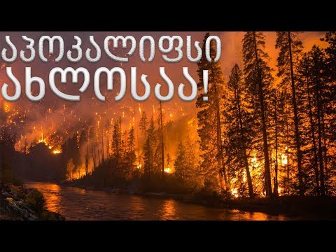 ვიდეო: მსოფლიოში ყველაზე დიდი მდინარე ამაზონია