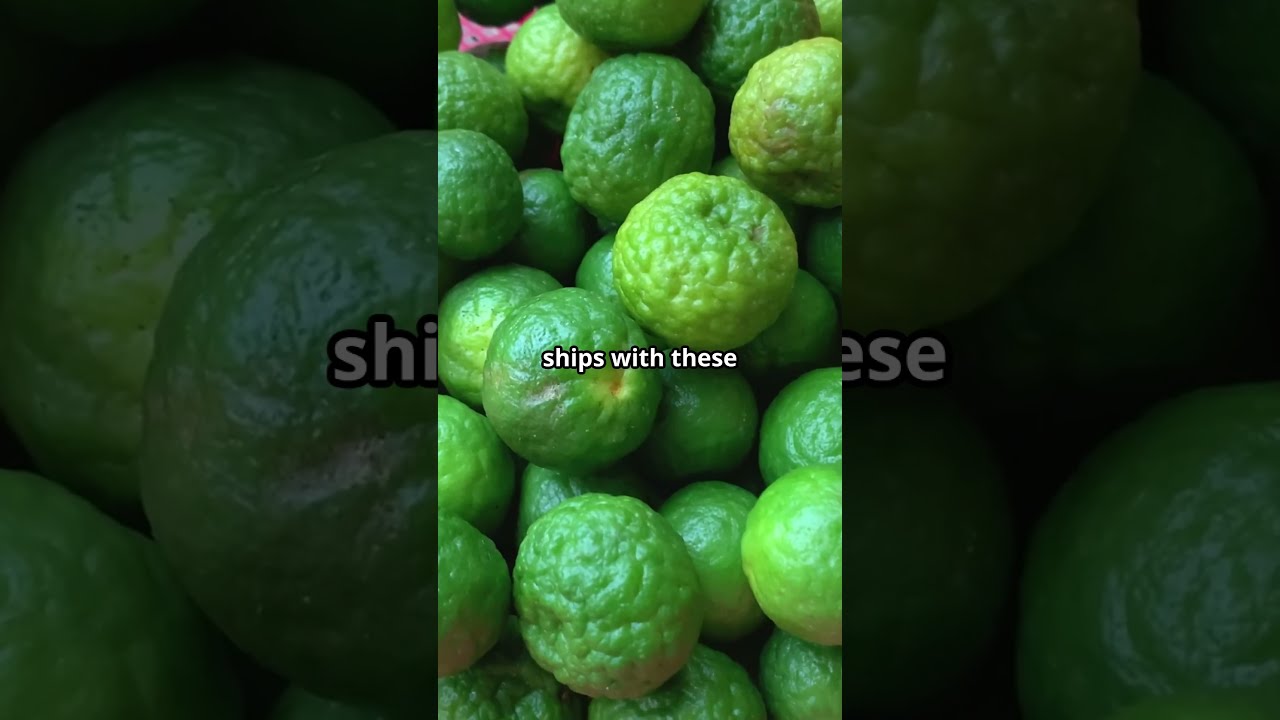 Why British Sailors Are Called Limeys Sailor Lime