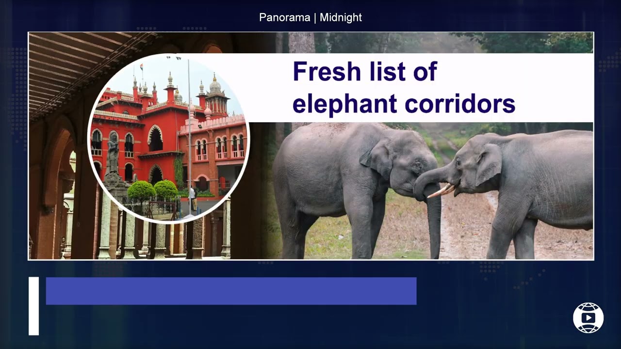 Panorama | Modi Honoured | Delhi Alert | Telangana Blast | ThinkZen News