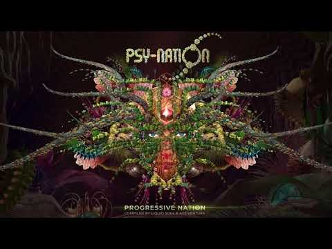 Liquid Soul & Ace Ventura  Progressive Nation Mix  PsyNation Radio 025 exclusive