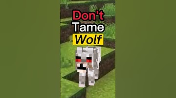 Tame BLOCK PETS in Minecraft Bedrock #addonreview #minecraftbedrock  #mcpe