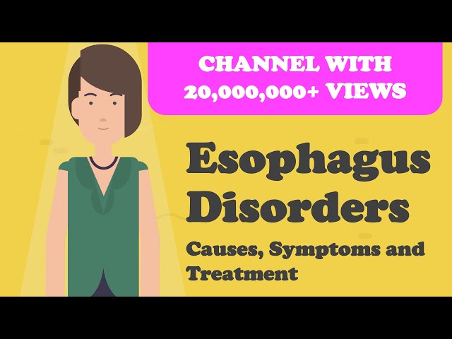 Esophagus Disorders - Causes, Symptoms and Treatment class=