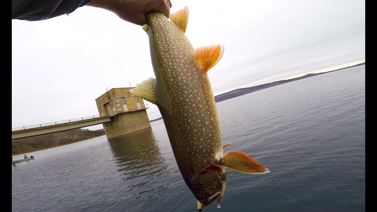 Round valley lake trout Clearance