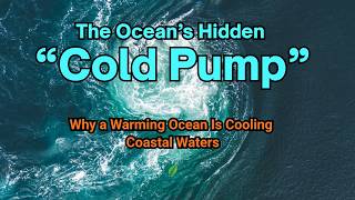 The Ocean’s Hidden “Cold Pump”: Why a Warming Ocean Is Cooling Coastal Waters