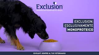 Exclusion Hypoallergenic Dog 16:9