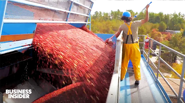 How Americans Spend $2 Billion On Food For Thanksgiving | Business Insider