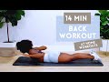 14 minute back workout for stronger back  better posture  no equipment  beginner  intermediate