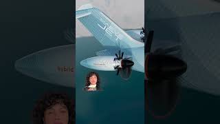 Delta Sustainable Skies Lab | Maeve