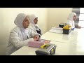 مهارات مهنية اعدادية ميسلون