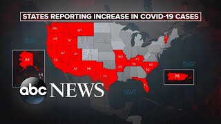 New coronavirus hotspots emerge as state cases spike amid reopening l ABC News