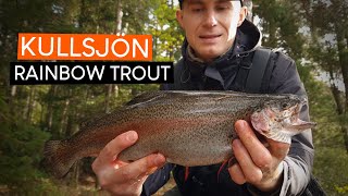 Spin fishing for BIG RAINBOW TROUT at Kullsjön
