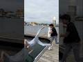 Try Not To Laugh Challenge #funny #failgag #viral #hilariousfails #funnyvideos #thestupids
