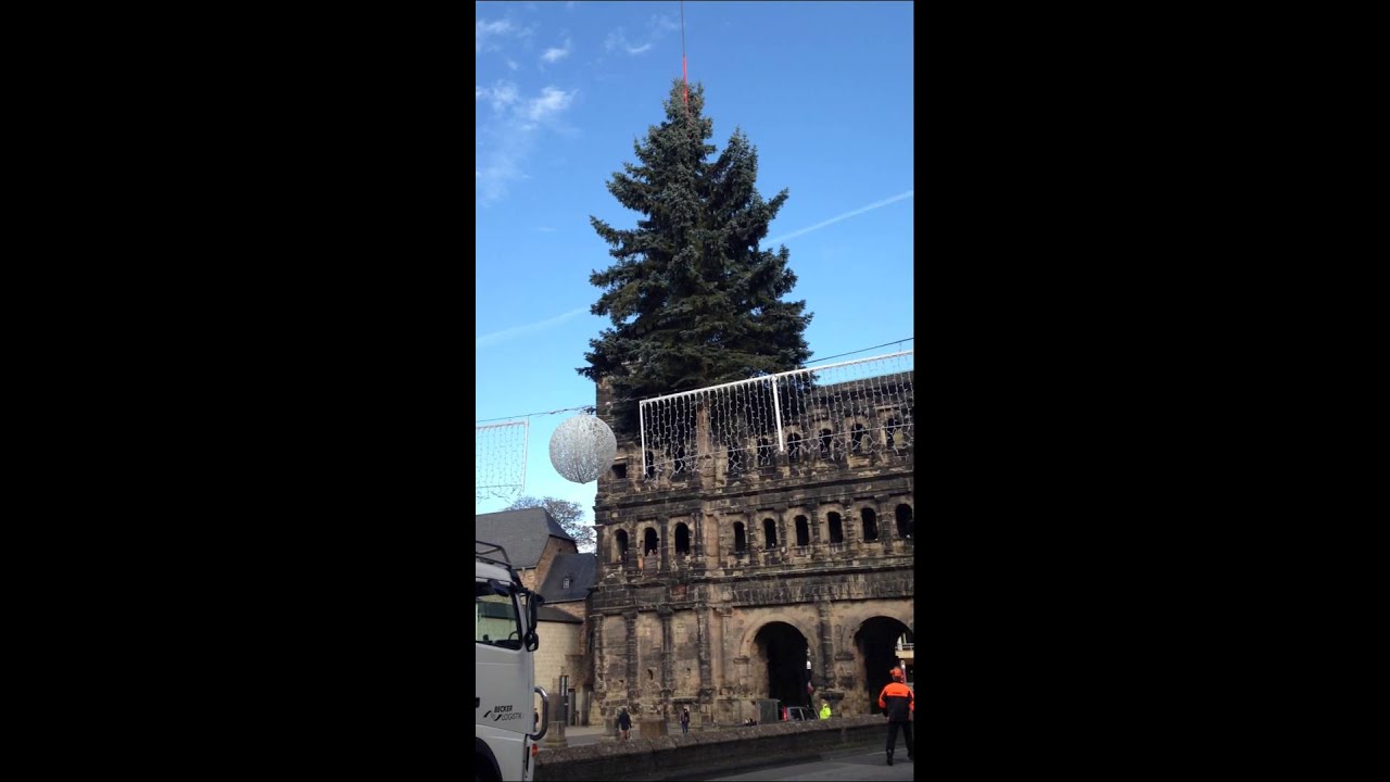 volksfreund shop Weihnachtsbaum an der Porta Nigra in Trier